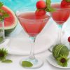 Fresh Watermelon-Mint Gimlet