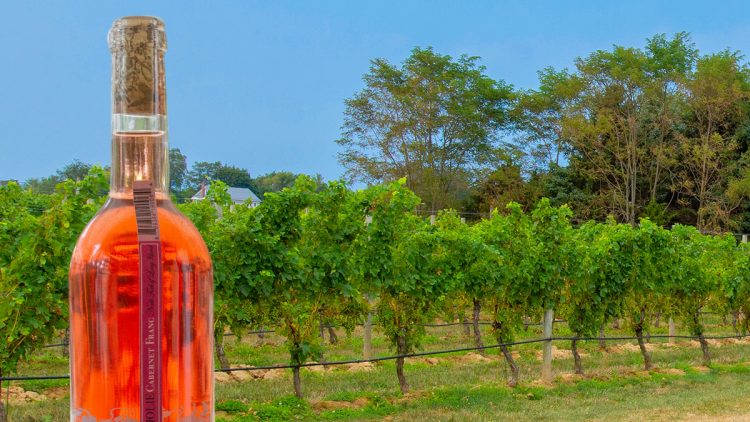 Toasting Rosé All Day