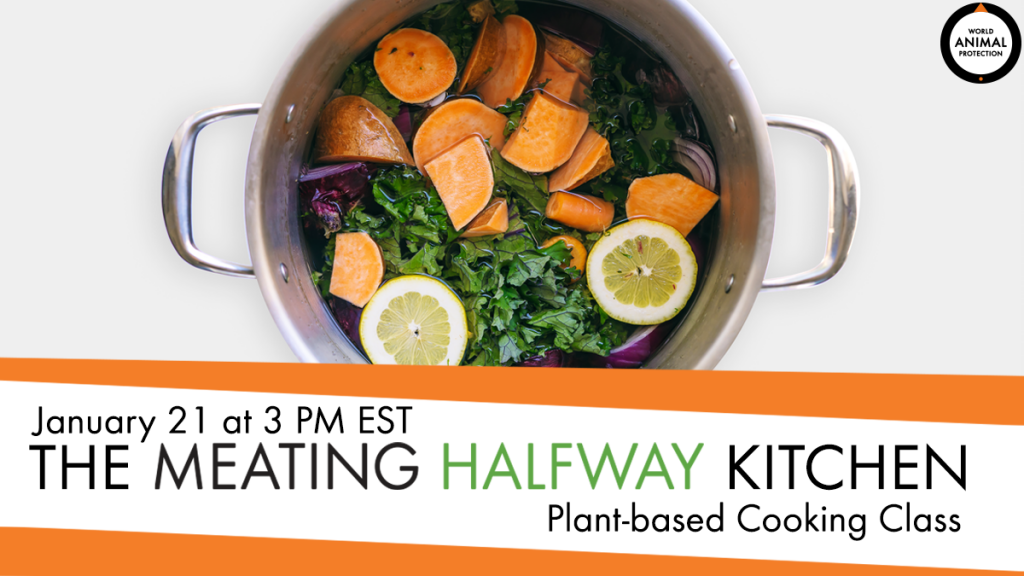 Meating Halfway Kitchen