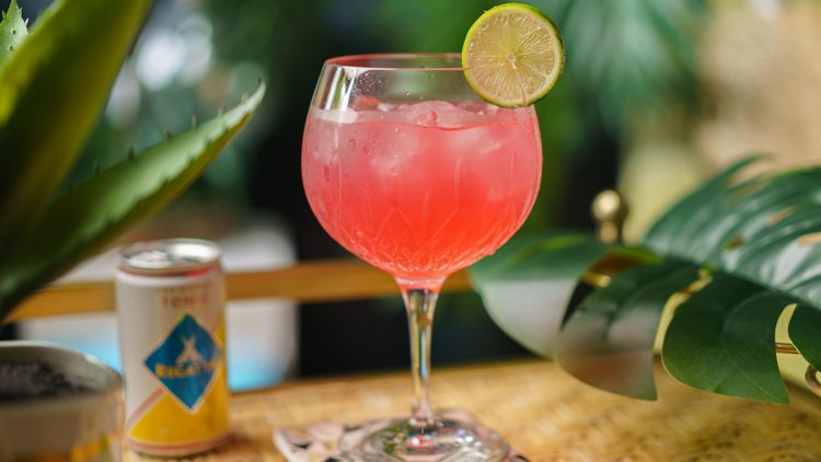 a hibiscus gin and tonic